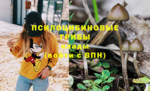 круглые Абаза