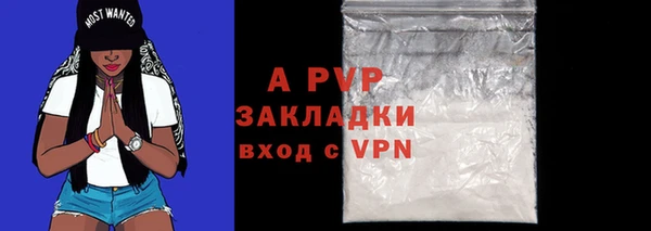 молекула духа Абинск