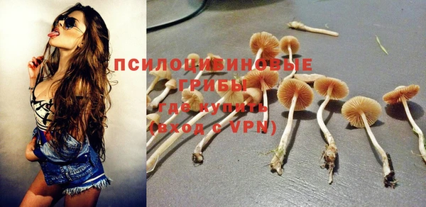 индика Абдулино