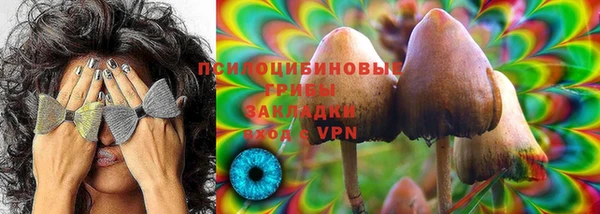 индика Абдулино