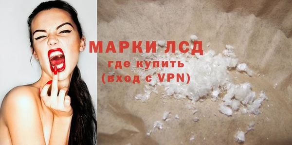 спиды Новодвинск