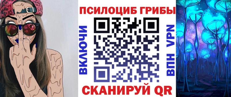 где можно купить   Чишмы  Псилоцибиновые грибы ЛСД 
